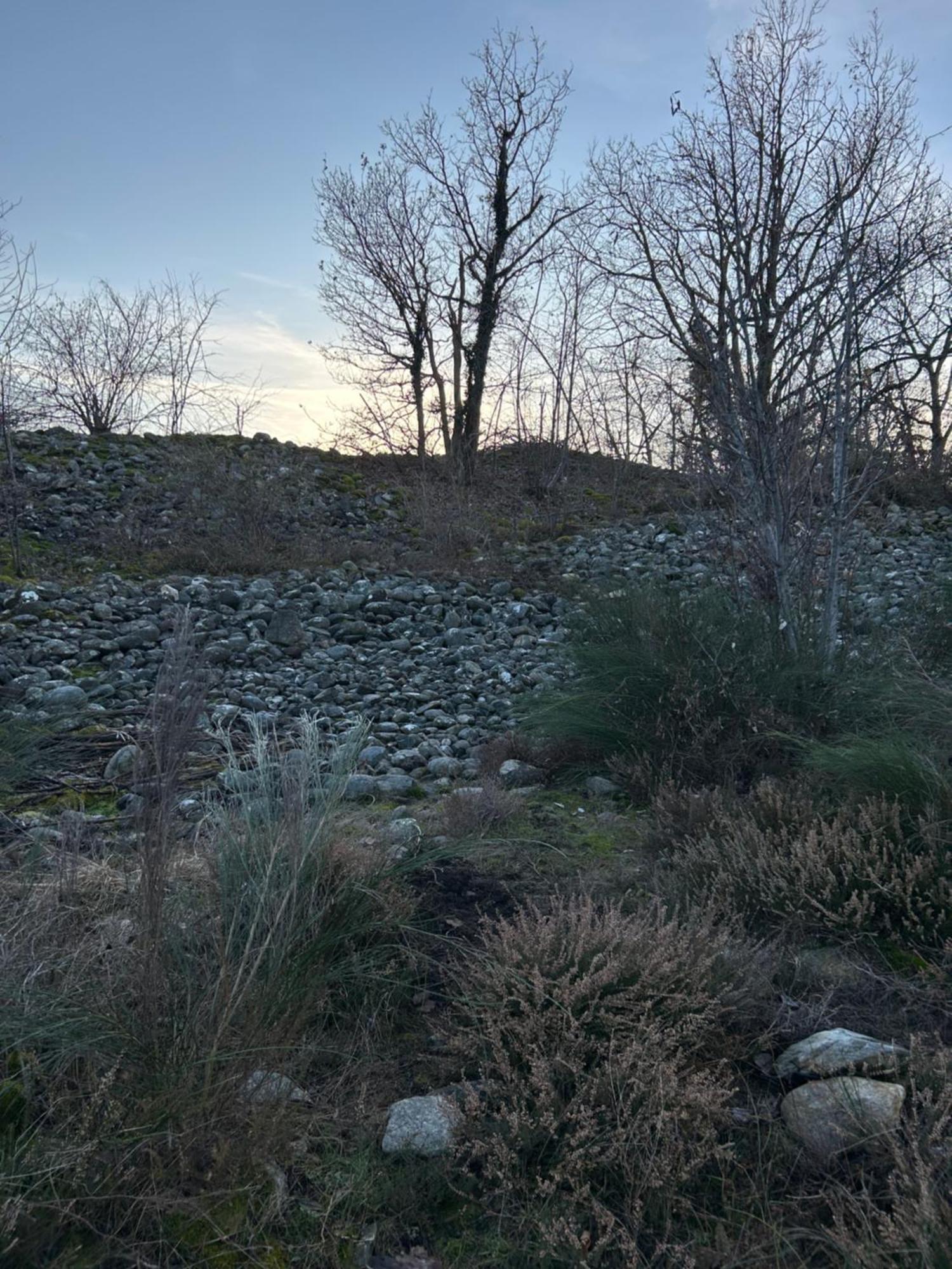 ホテル La Casa Di Pietro Cerrione エクステリア 写真