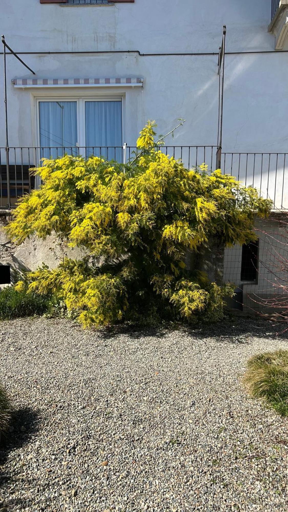 ホテル La Casa Di Pietro Cerrione エクステリア 写真